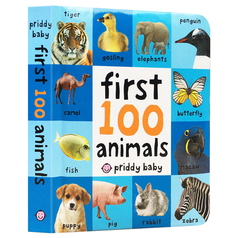 English Original First Words Cardboard Book
